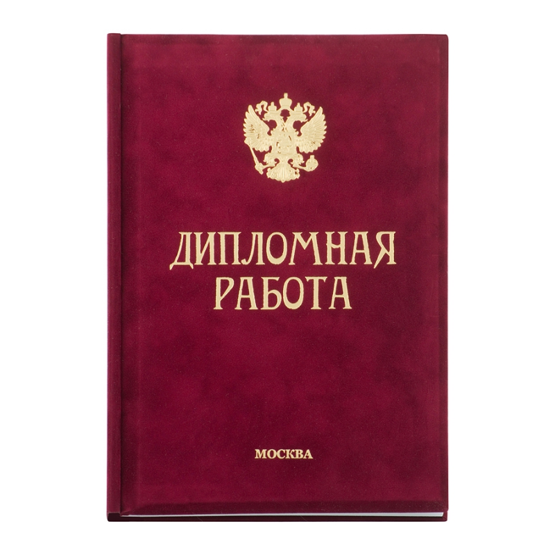 Диплом Эксклюзив 311