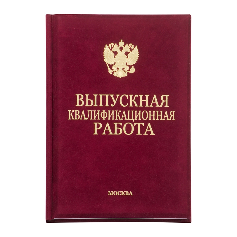 Диплом Эксклюзив 311