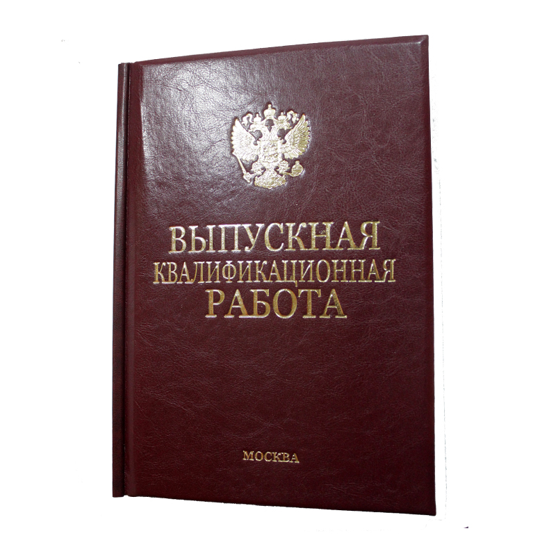 Диплом Эксклюзив 313