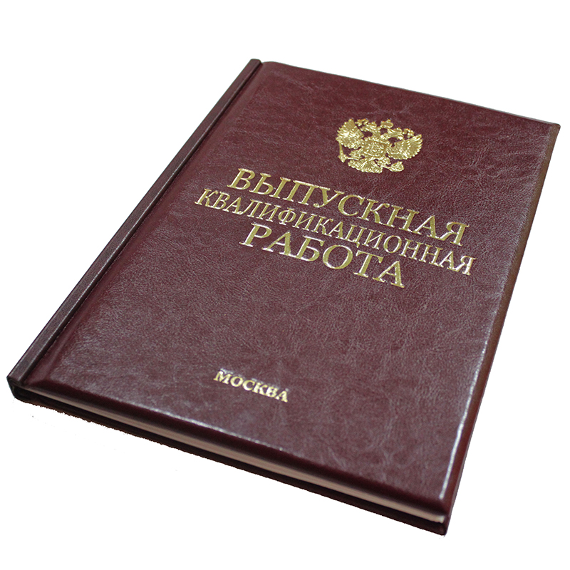 Диплом Эксклюзив 313
