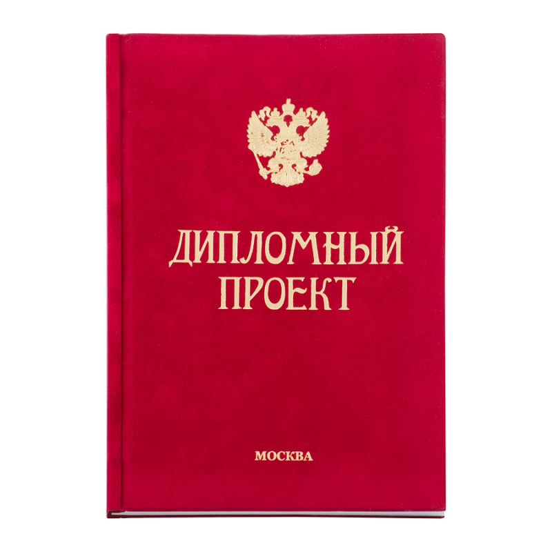 Диплом Эксклюзив 316