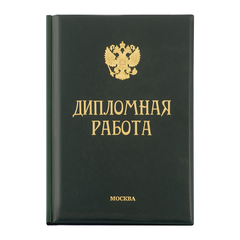 Диплом Эксклюзив 331