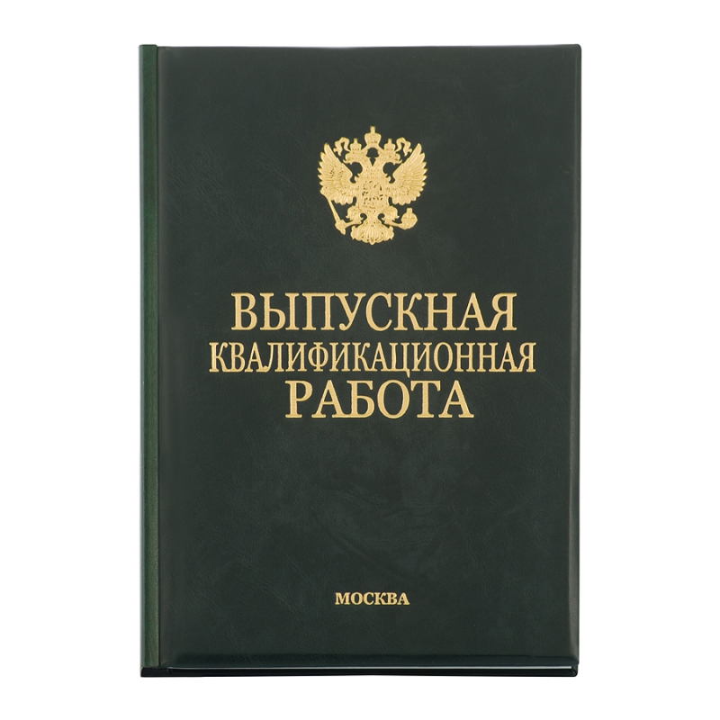 Диплом Эксклюзив 331