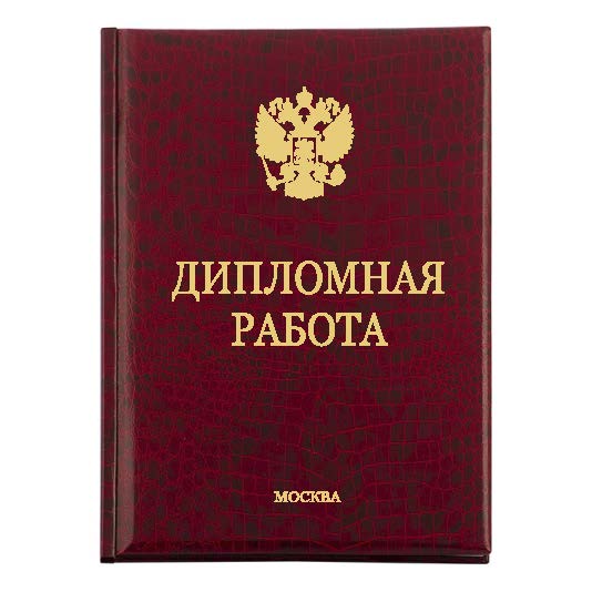 Диплом Премиум 213-2