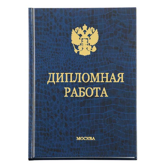 Диплом Премиум 221-2