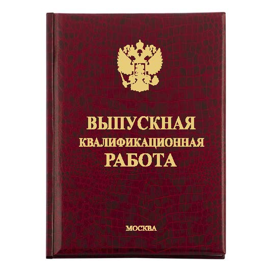 Диплом Премиум 213-1