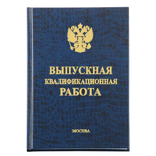 Диплом Премиум 221-1