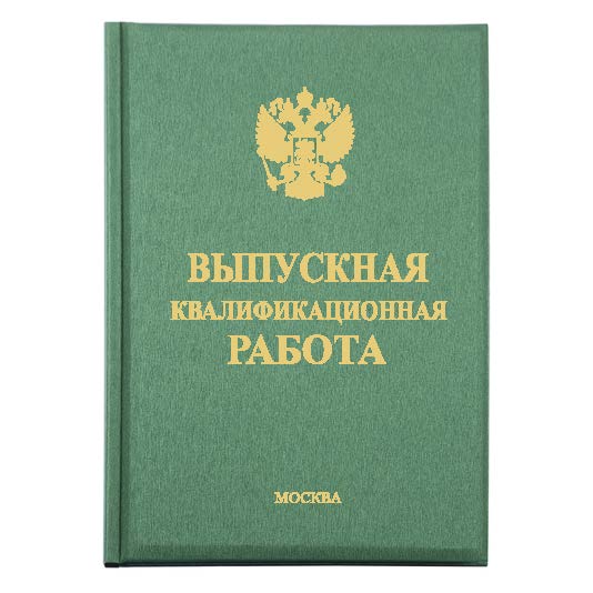 Диплом Премиум 232-1
