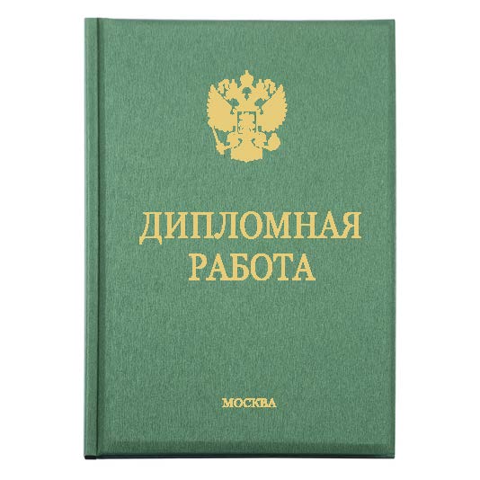 Диплом Премиум 232-2